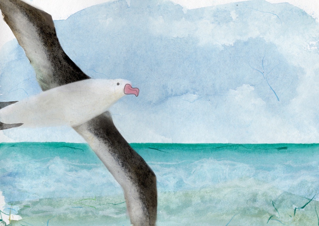 34BFA4EF C7B0 46E6 A9CC 5B48C58283B6_1_105_c.jpeg