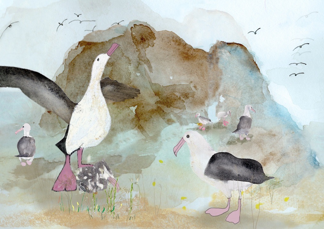 6199CEFE 4ECD 4F85 BAA6 5335D3ABB7ED_1_105_c.jpeg