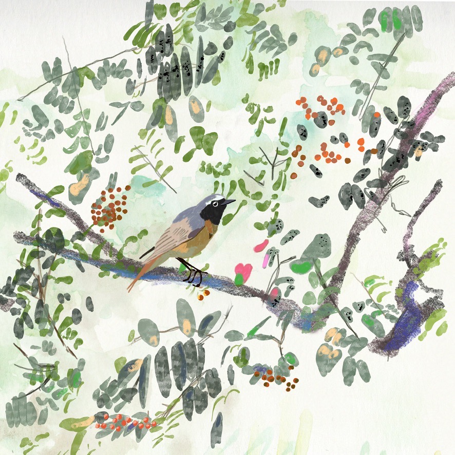 83D526B2 F813 4BFC 8E09 6A2D28F38134_1_105_c.jpeg