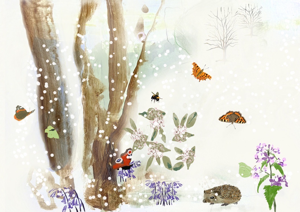 8CE649DA A723 475E A27C B477D4B0CE37_1_105_c.jpeg