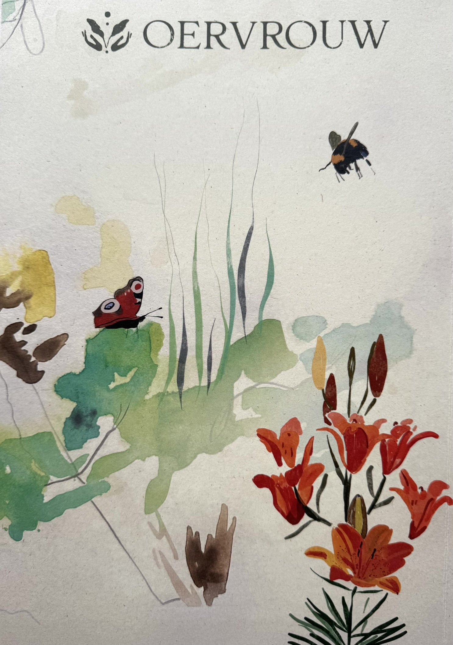 CE7CBD5A C9F9 4A83 AF94 F67B69F23C6C_1_102_a.jpeg