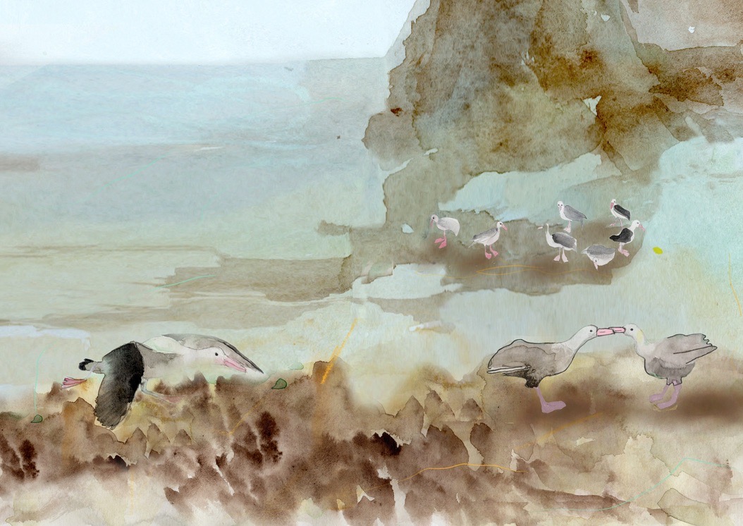 FBB13E44 E894 40D5 9A83 D5137322FE5D_1_105_c.jpeg