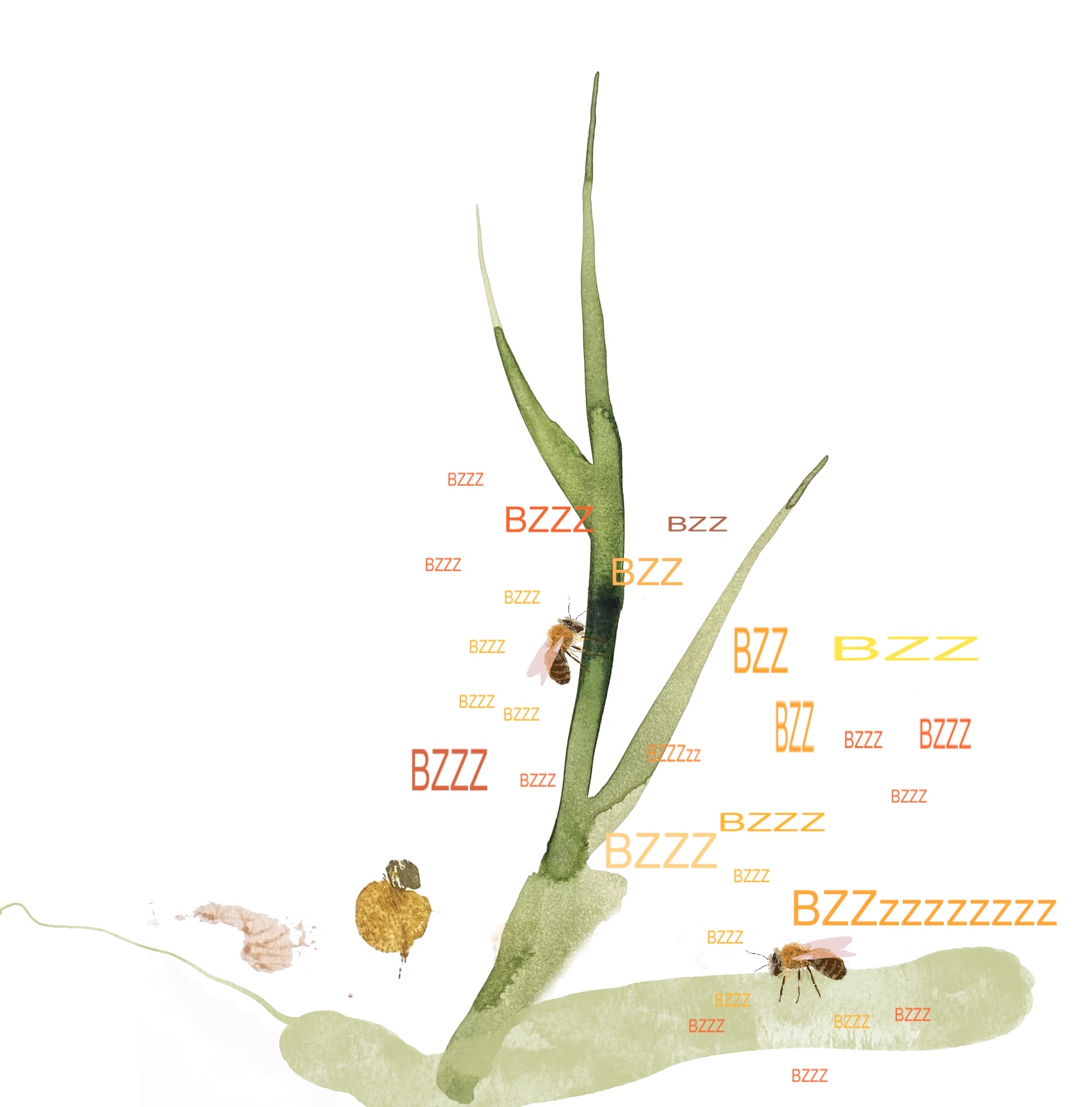 image 5226